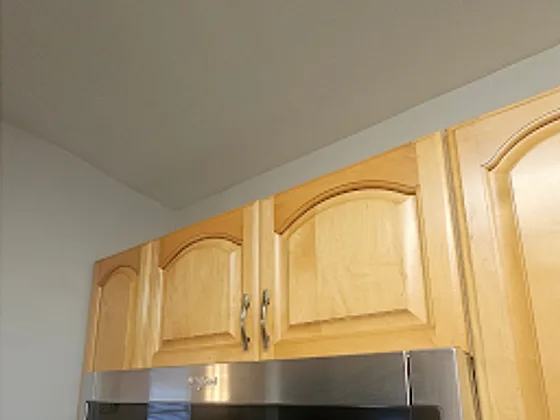 Same microwave degreased and polished after cleaning